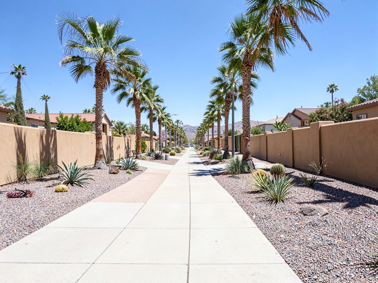 Illustrative photograph of a palm-lined residential boulevard in the Las Vegas valley